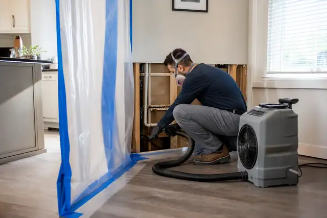 Mold Remediation service image